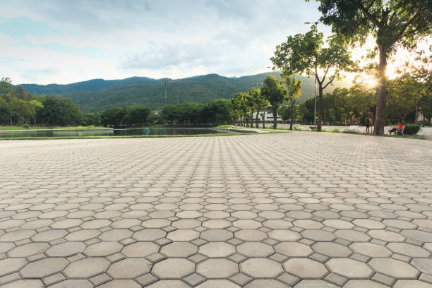 Best Driveway Repair Near Me  in Annandale, MN