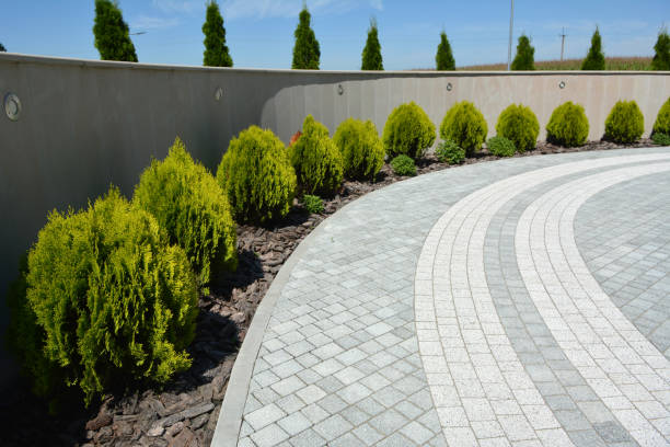Best Driveway Resurfacing Pavers  in Annandale, MN
